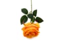 Kunstblume Rose Gelb-Orange Emerald Bild 3