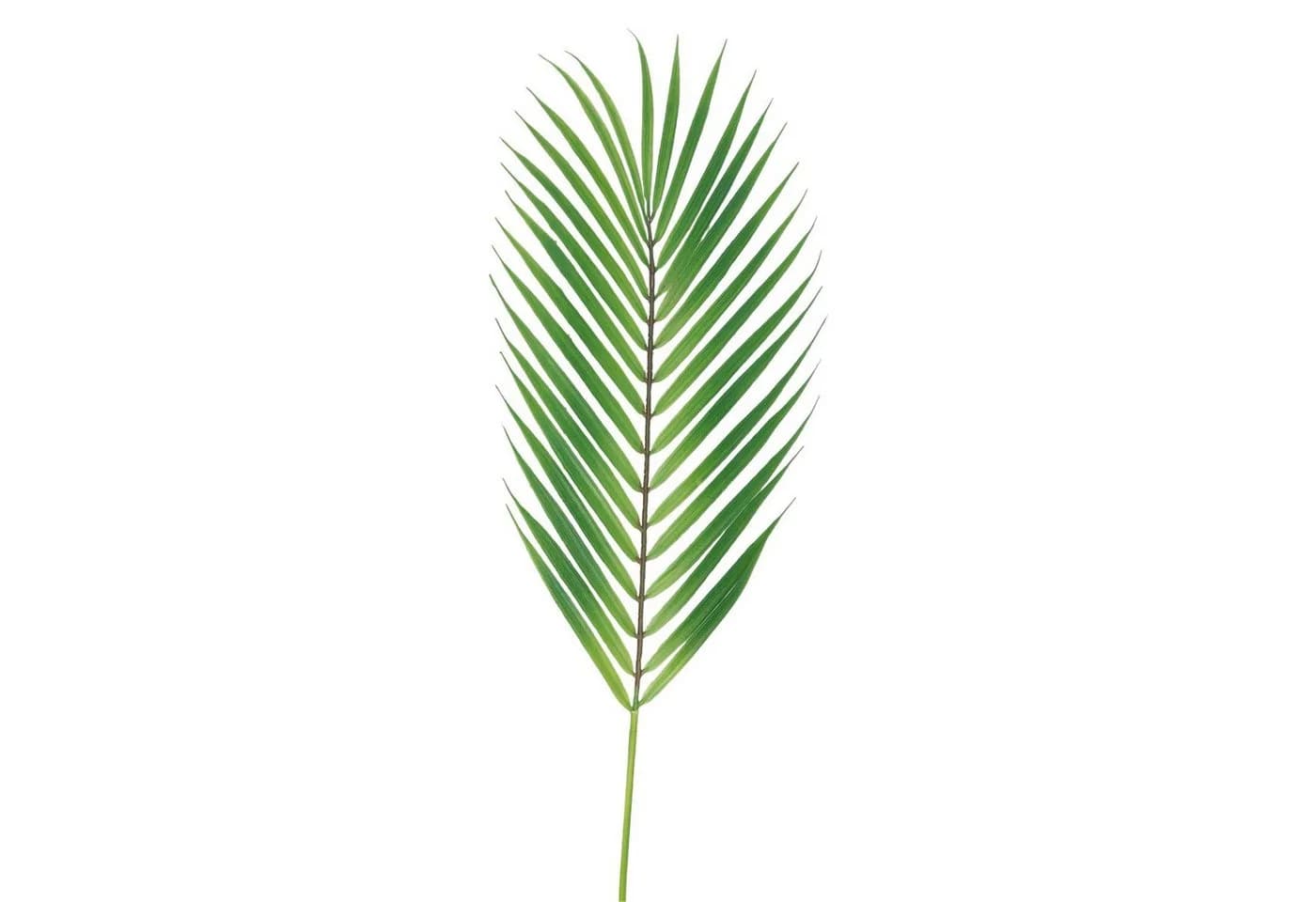 Emerald Künstliches Palmblatt Grün 75 cm Chamaedorea