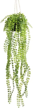 BOTANIC-HAUS Künstliche Ficus-Pumila Hängeampel Grün Schwarz Bild 2