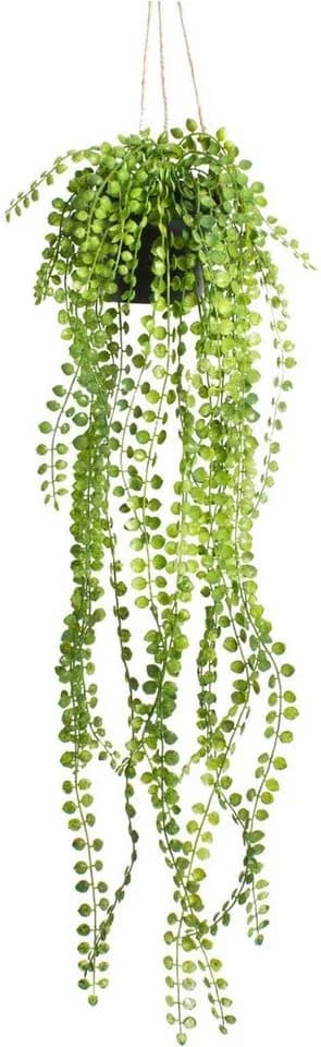 BOTANIC-HAUS Künstliche Ficus-Pumila Hängeampel Grün Schwarz - Bild 2
