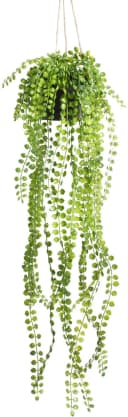 BOTANIC-HAUS Künstliche Ficus-Pumila Hängeampel Grün Schwarz Bild 3