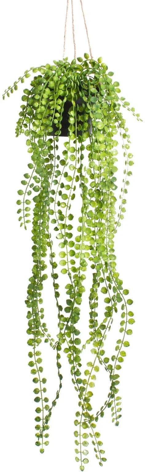 BOTANIC-HAUS Künstliche Ficus-Pumila Hängeampel Grün Schwarz - Bild 3