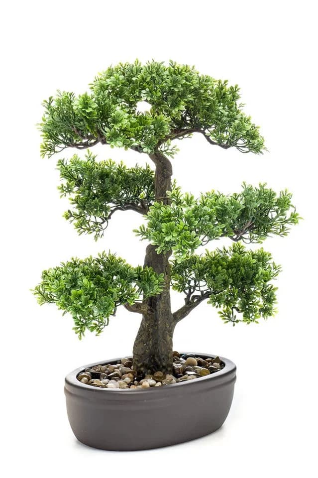 Kunstbonsai Ficus Botanic-Haus 45 cm
