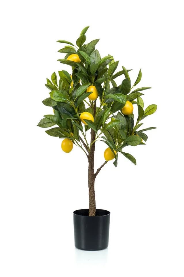 Emerald Künstlicher Zitronenbaum Grün 72 cm - Bild 2