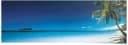 Reinders Palme am Strand Poster Blau Panorama Bild 3