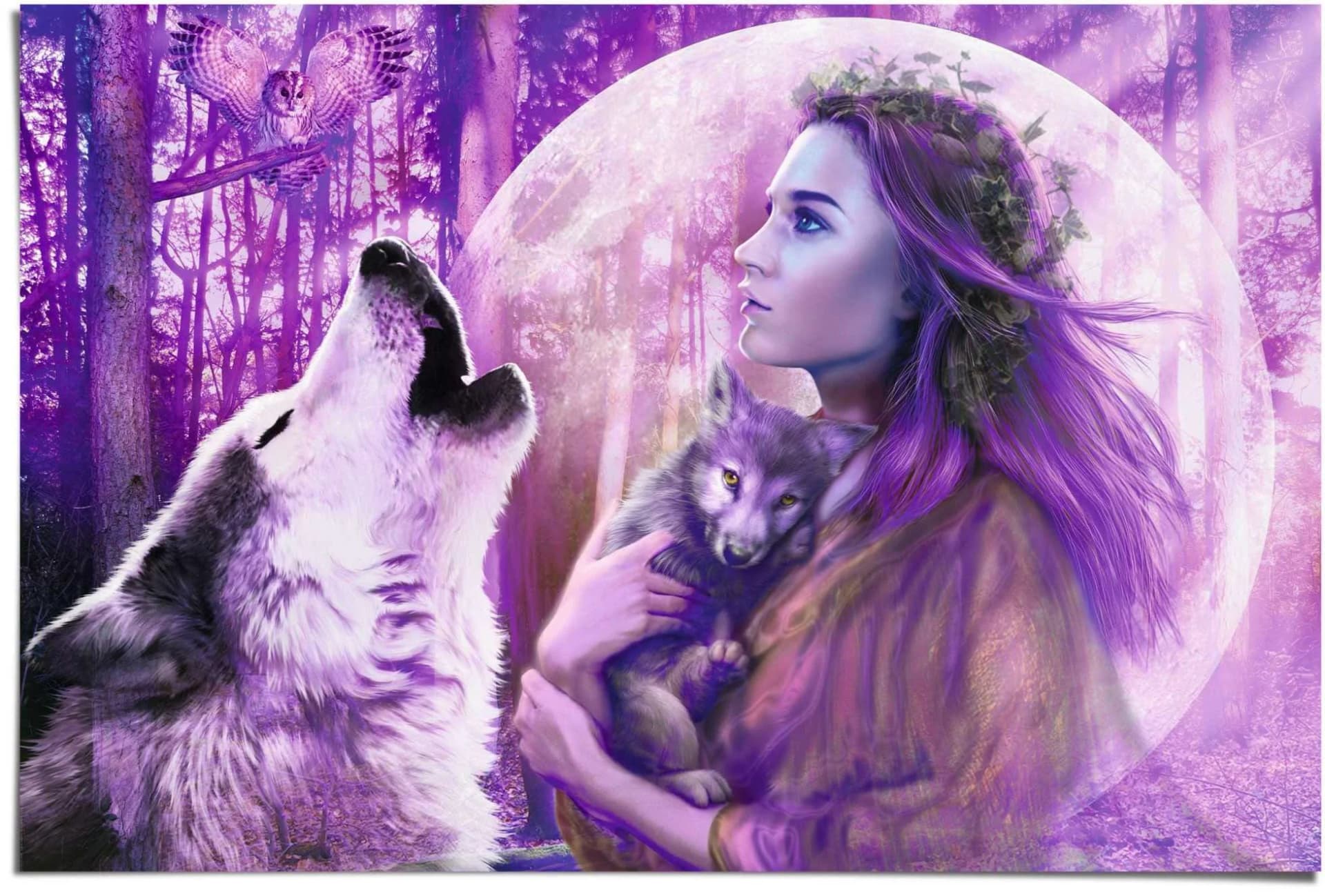 REINDERS Poster Vollmond Wölfe Lila Maxi Format
