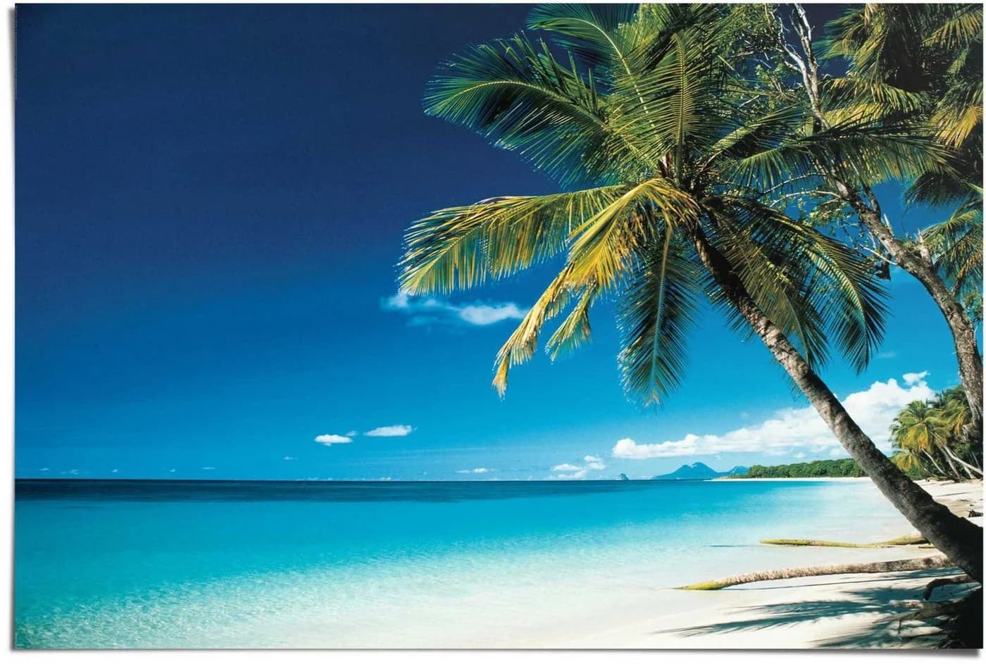 REINDERS Poster Palme am Strand Blau Maxi - Bild 2