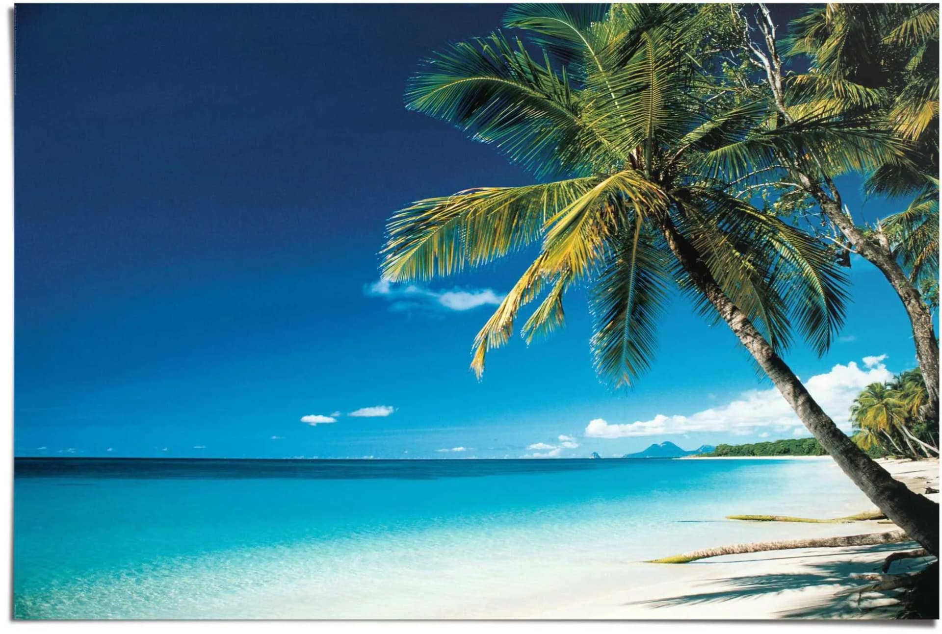REINDERS Poster Palme am Strand Blau Maxi - Bild 3