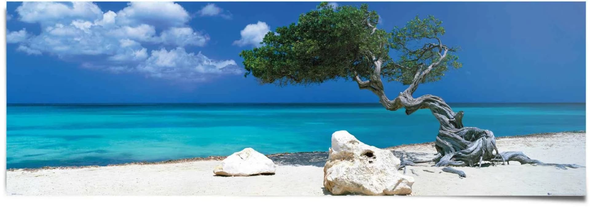 Poster REINDERS Tom Mackie divi divi Baum Blau