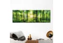 Reinders Poster Sommerwald Grün Panorama 158x53cm Bild 1