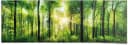 Reinders Poster Sommerwald Grün Panorama 158x53cm Bild 2