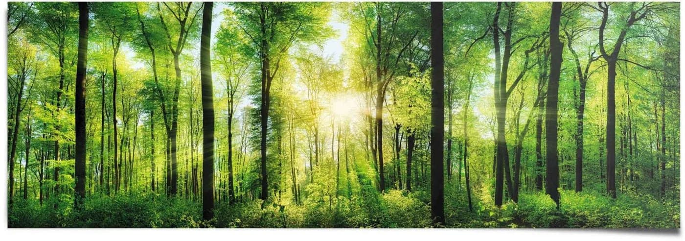 Reinders Poster Sommerwald Grün Panorama 158x53cm - Bild 2