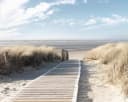 REINDERS Deco-Panel Nordsee Dünen Khaki Grün MDF Bild 2