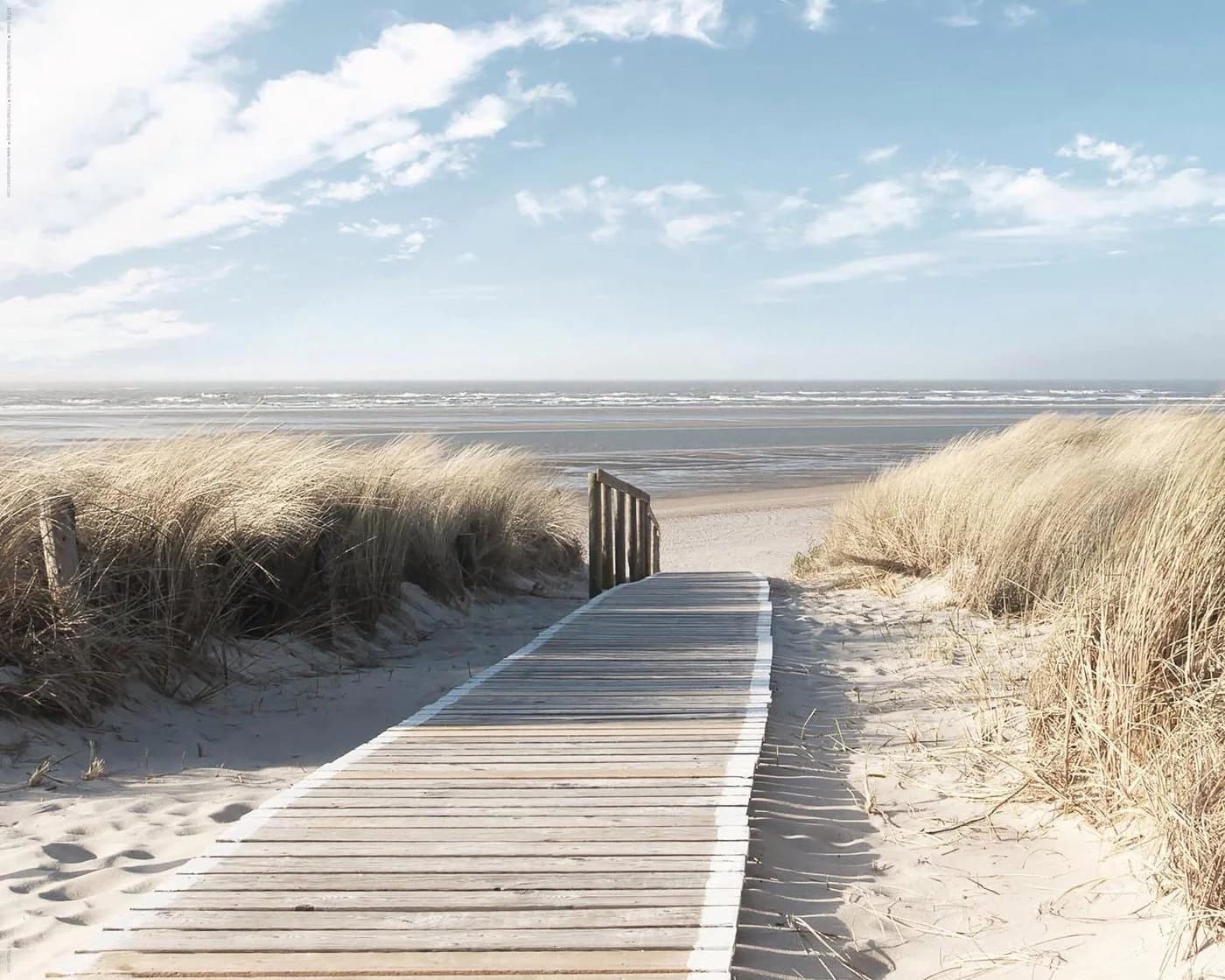 REINDERS Deco-Panel Nordsee Dünen Khaki Grün MDF - Bild 2