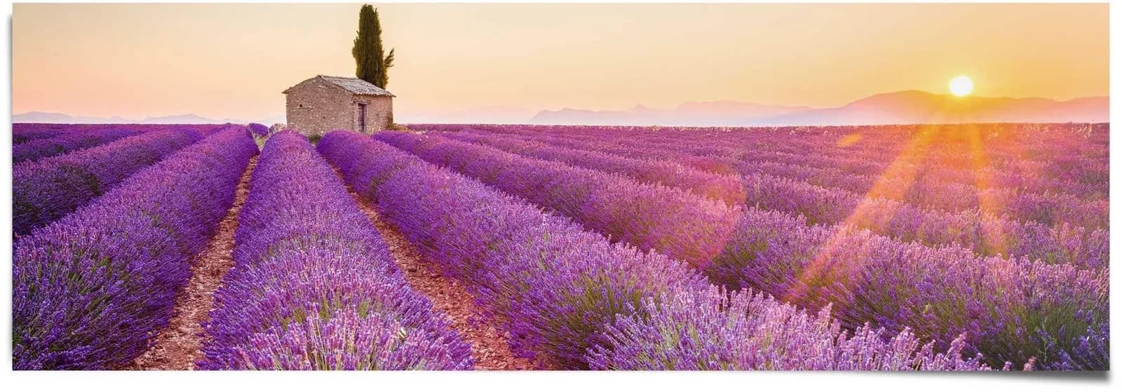 Poster REINDERS Lavendel Horizont Lila
