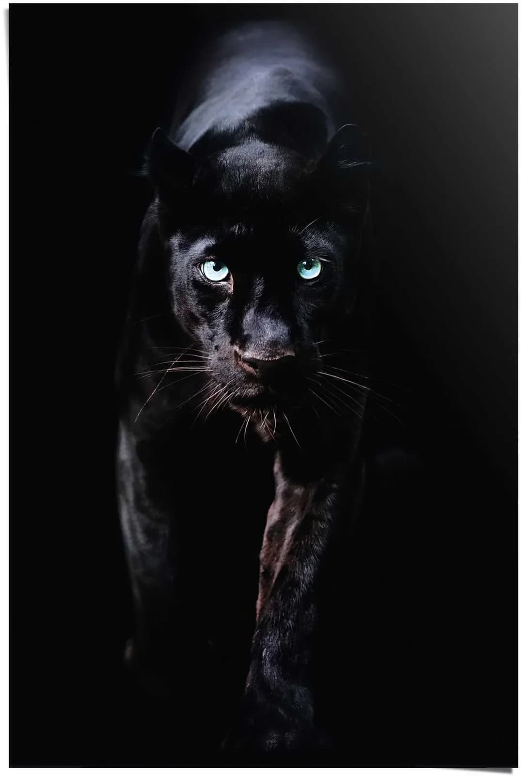 Reinders Poster Schwarzer Panther Schwarz