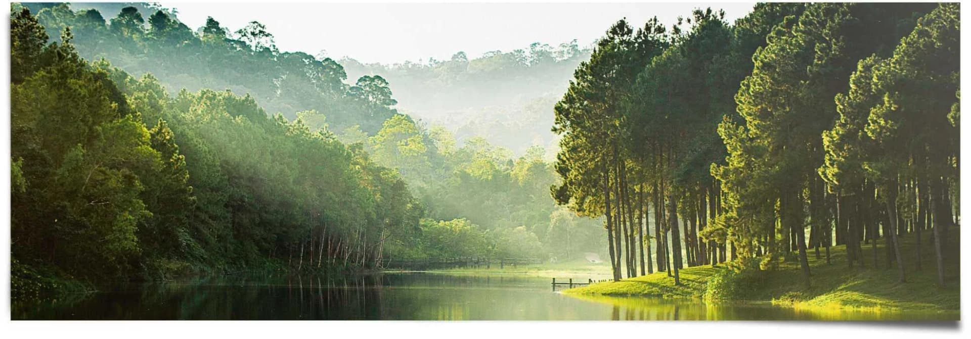 Poster REINDERS Mystischer Waldsee Grün Panoramaformat