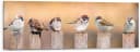 REINDERS Holzbild Deco Panel 30x90 Bird Family Braun Grau Bild 2