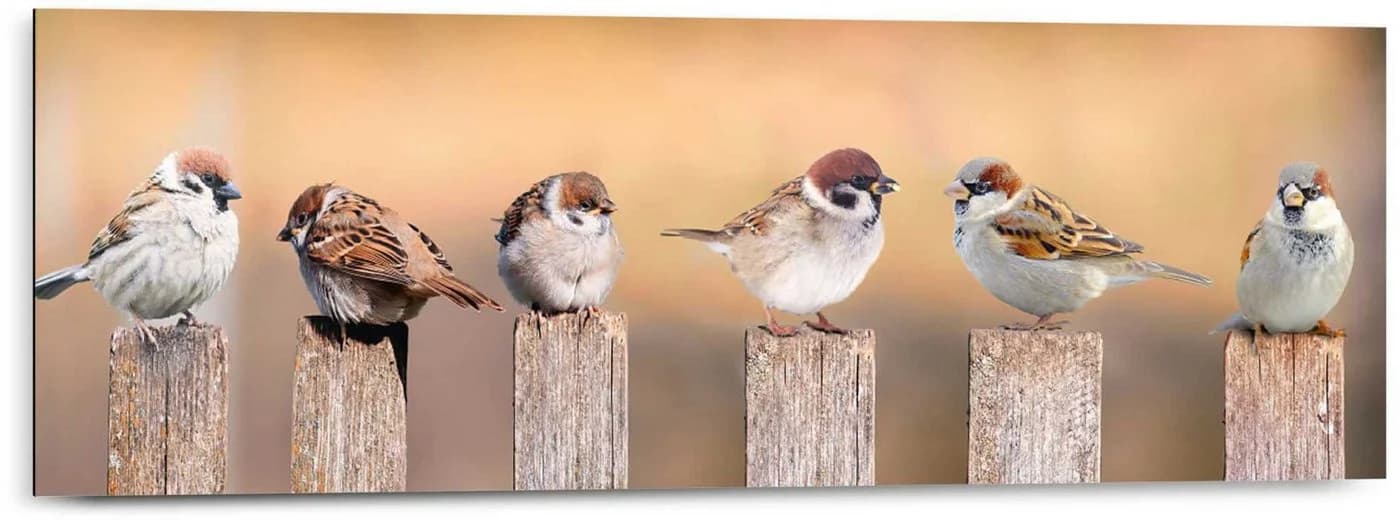 REINDERS Holzbild Deco Panel 30x90 Bird Family Braun Grau - Bild 2