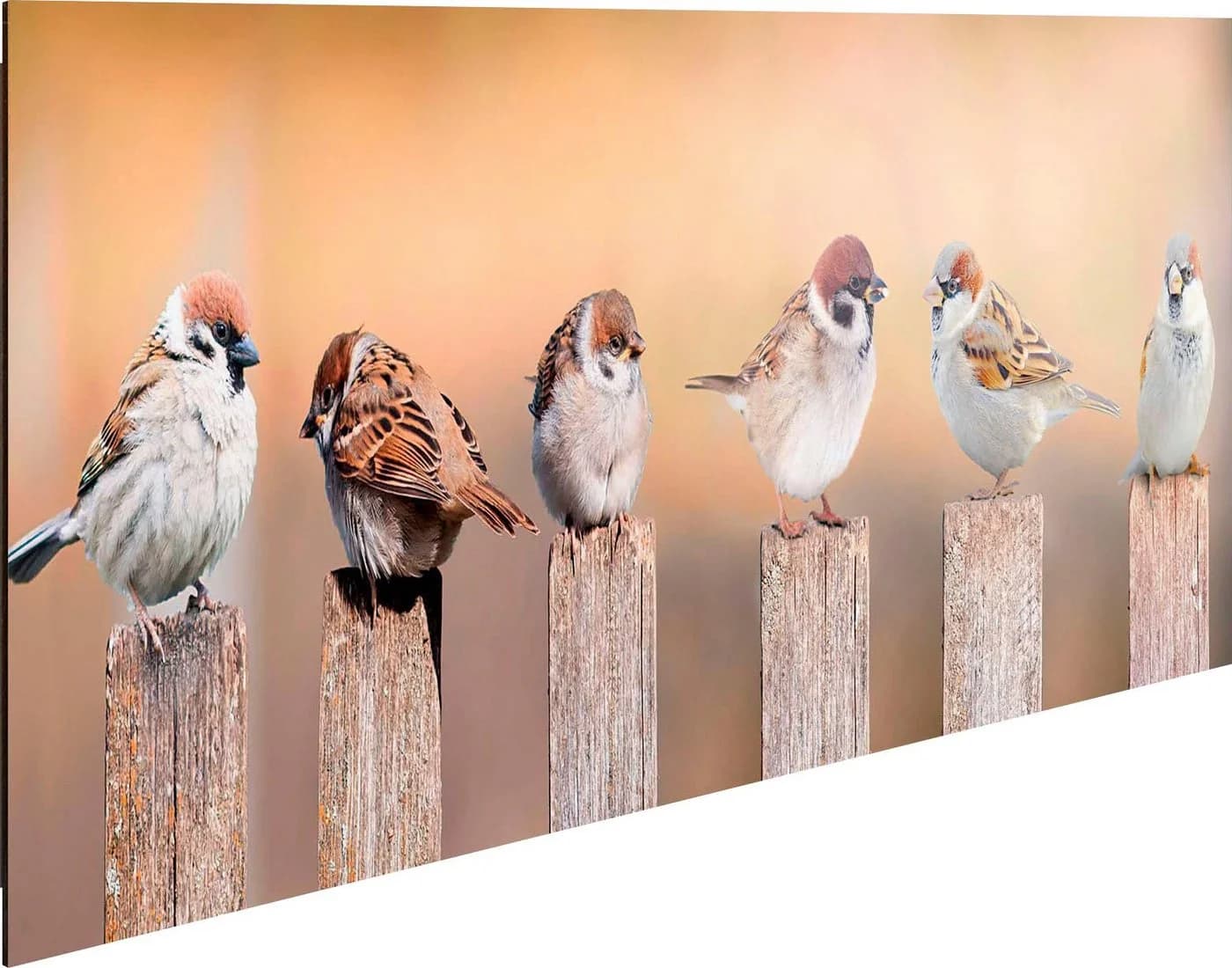 REINDERS Holzbild Deco Panel 30x90 Bird Family Braun Grau - Bild 3