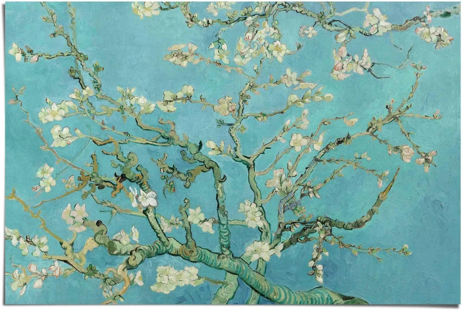 Reinders Poster Mandelblüte Vincent van Gogh Blau - Bild 4
