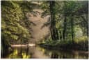 Reinders Poster Lichtspiel am Waldsee Grün Maxi Format Bild 2