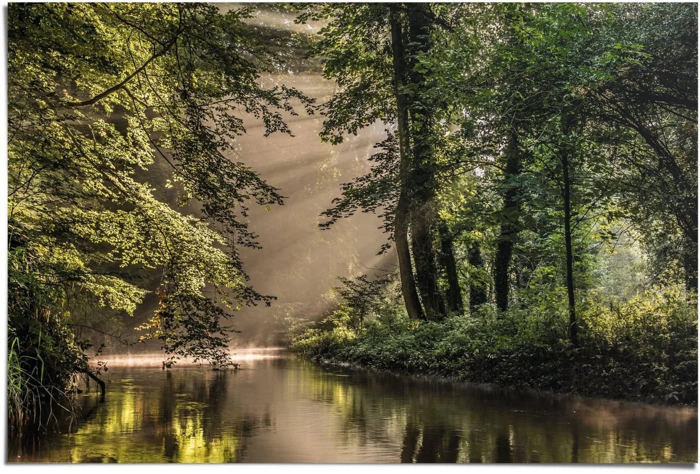 Reinders Poster Lichtspiel am Waldsee Grün Maxi Format - Bild 2