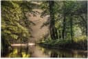 Reinders Poster Lichtspiel am Waldsee Grün Maxi Format Bild 3