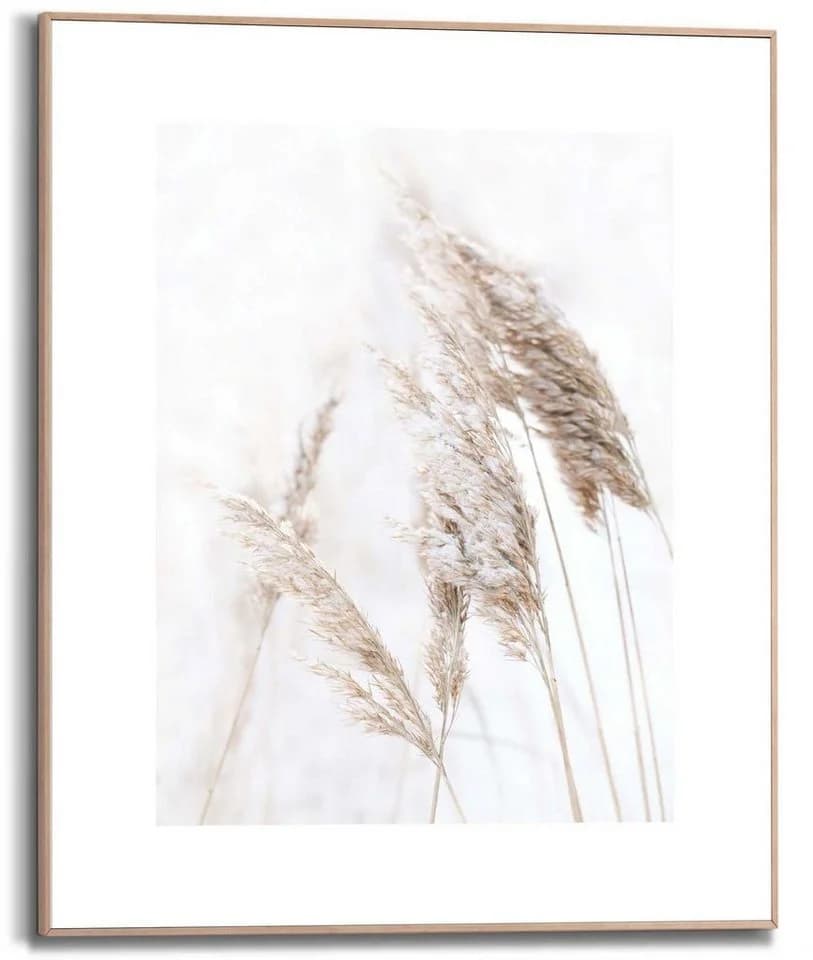 Kunstdruck Pampasgras Weiß Reinders - Bild 2