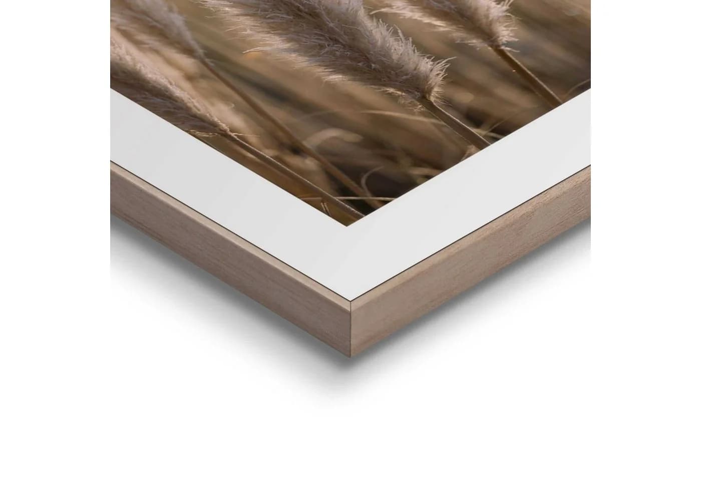 Kunstdruck Pampas Beige Reinders - Bild 4