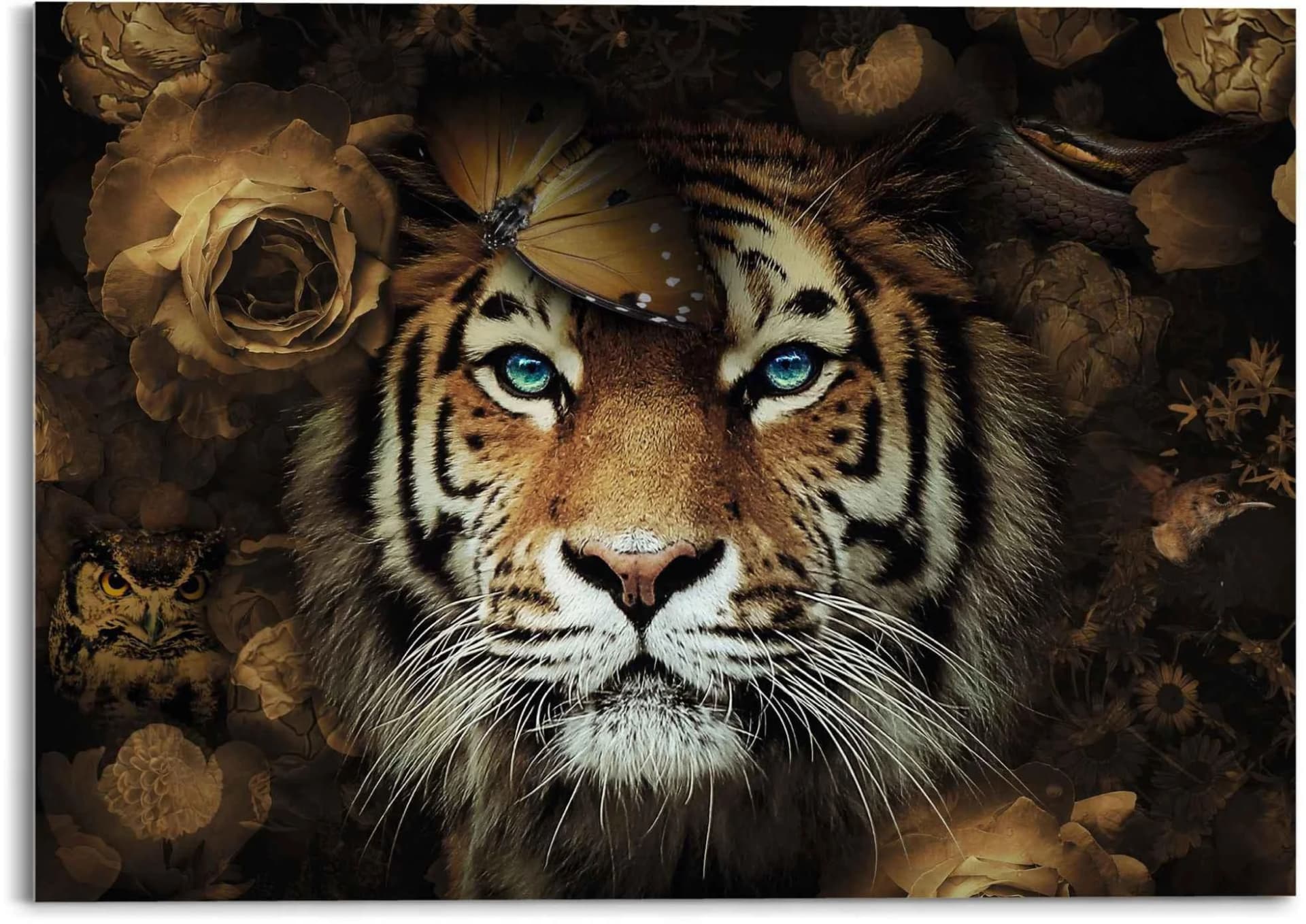 REINDERS Glasbild Tiger Motiv braun 70x50 cm Acrylglas