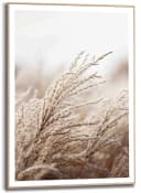 REINDERS Kunstdruck Gras Beige MDF Wanddekoration Bild 2