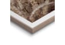 REINDERS Kunstdruck Gras Beige MDF Wanddekoration Bild 4