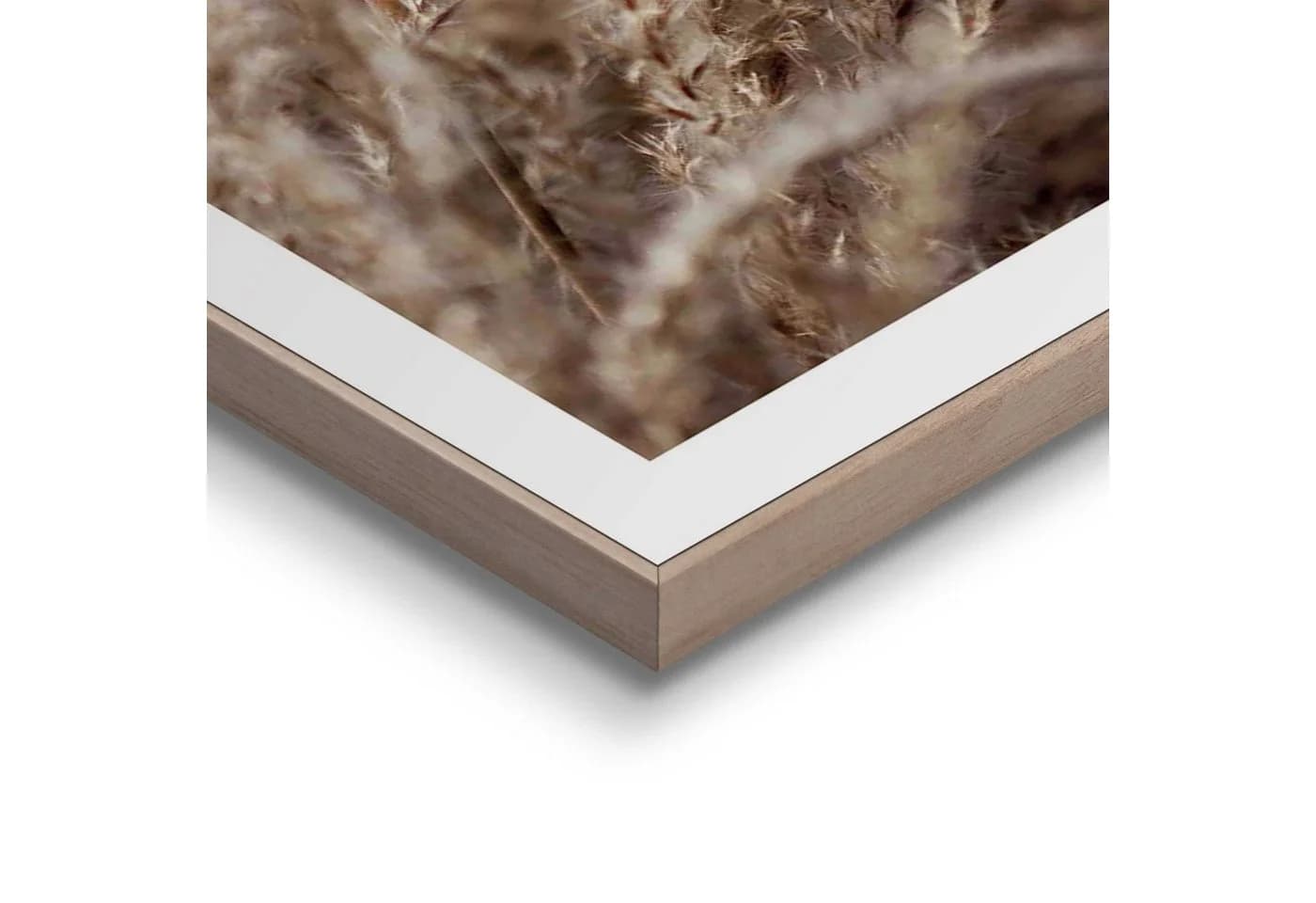 REINDERS Kunstdruck Gras Beige MDF Wanddekoration - Bild 4