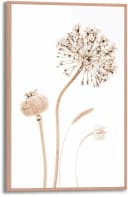 REINDERS Poster Trockenblumen Beige Wanddekoration MDF Bild 5
