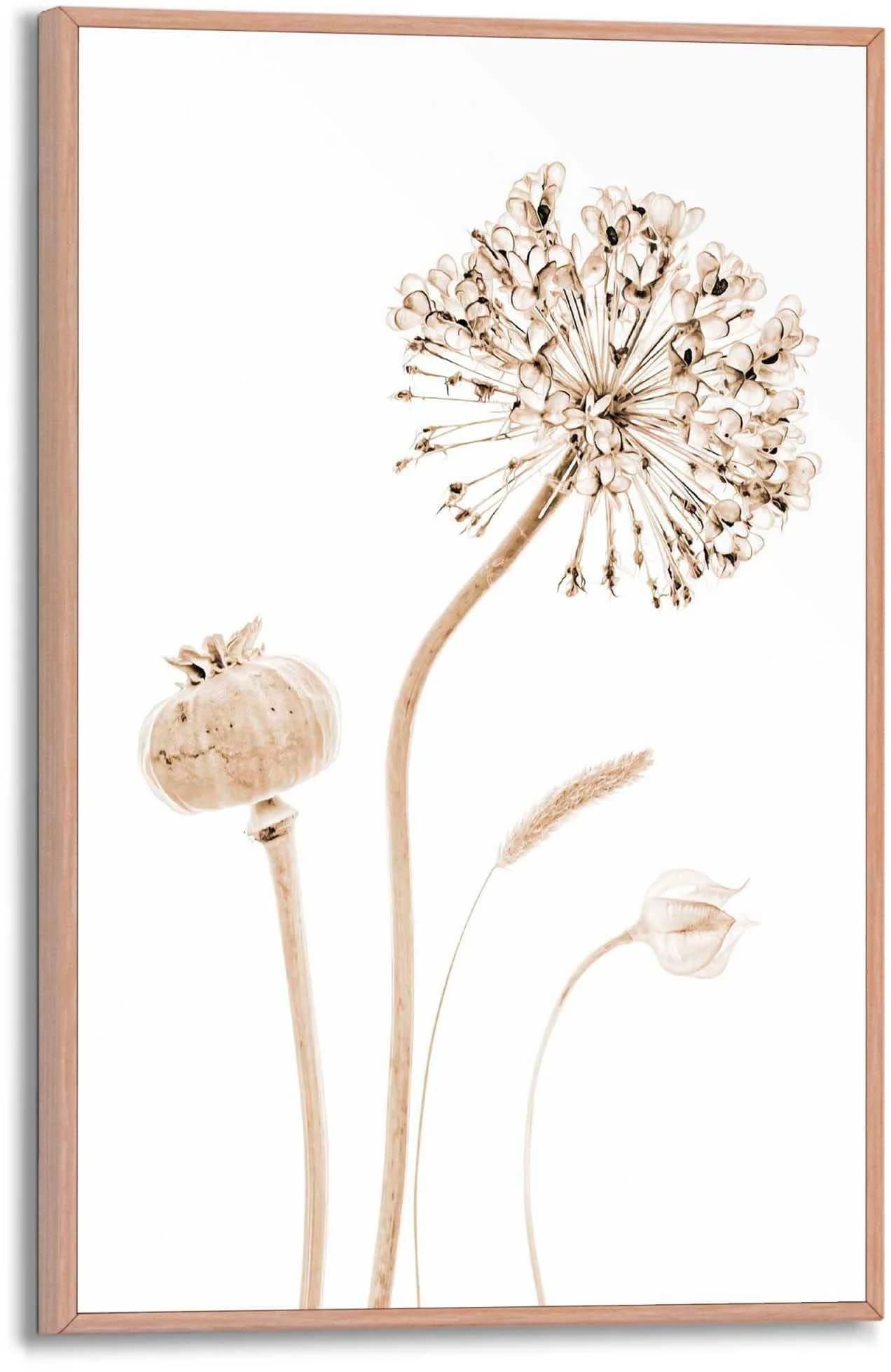 REINDERS Poster Trockenblumen Beige Wanddekoration MDF - Bild 5