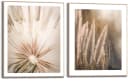REINDERS Wandbild Natur Botanisch Khaki 40x50 cm Bild 1