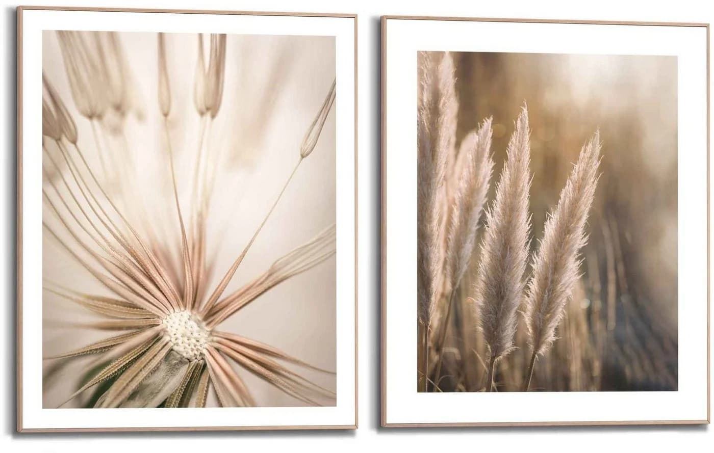 REINDERS Wandbild Natur Botanisch Khaki 40x50 cm