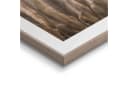 REINDERS Wandbild Natur Botanisch Khaki 40x50 cm Bild 3