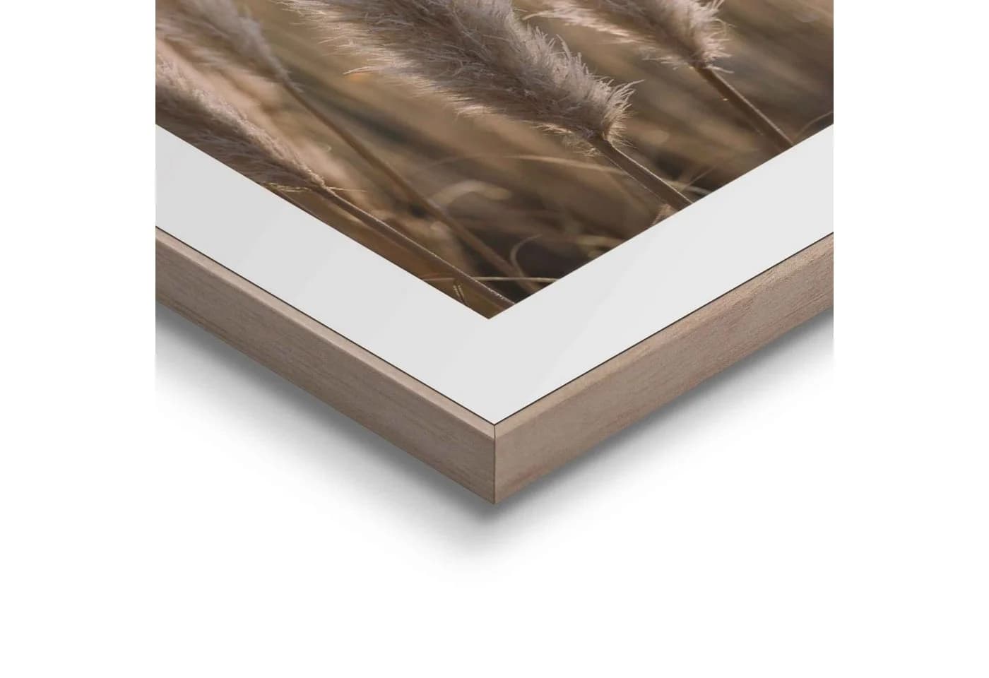 REINDERS Wandbild Natur Botanisch Khaki 40x50 cm - Bild 3