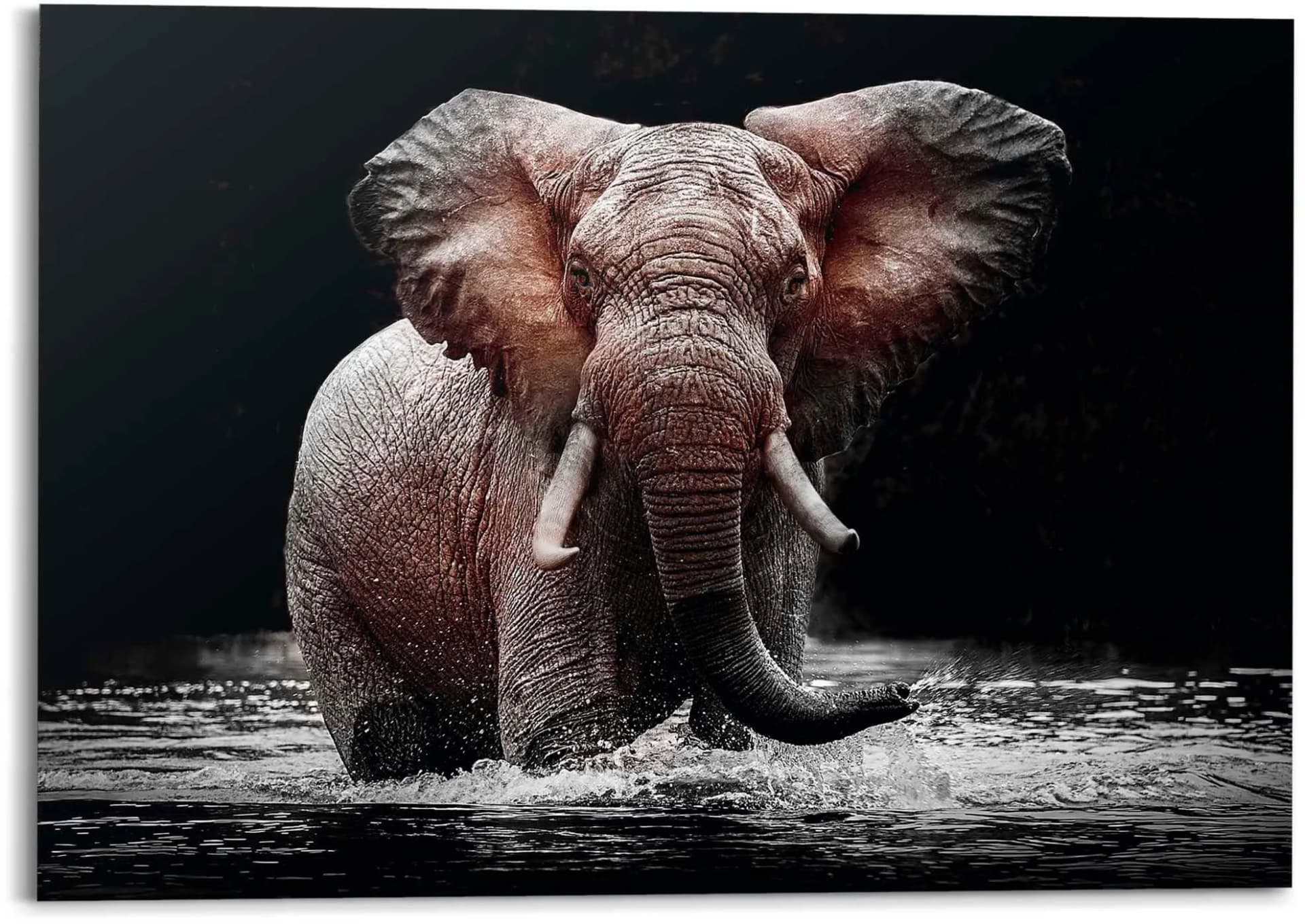 Deco-Panel Elefant Schwarz Reinders