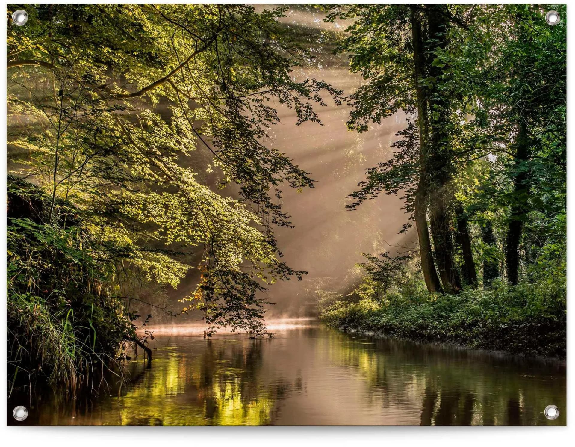 REINDERS Poster Bach im Wald Grün Leinwand 80x60 cm