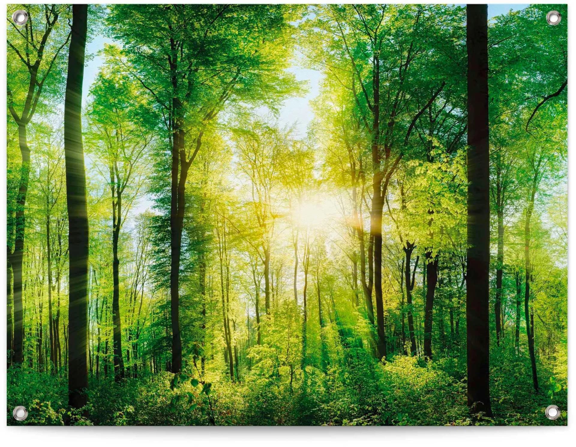 Poster REINDERS Sommerwald grün 80x60cm Leinwand