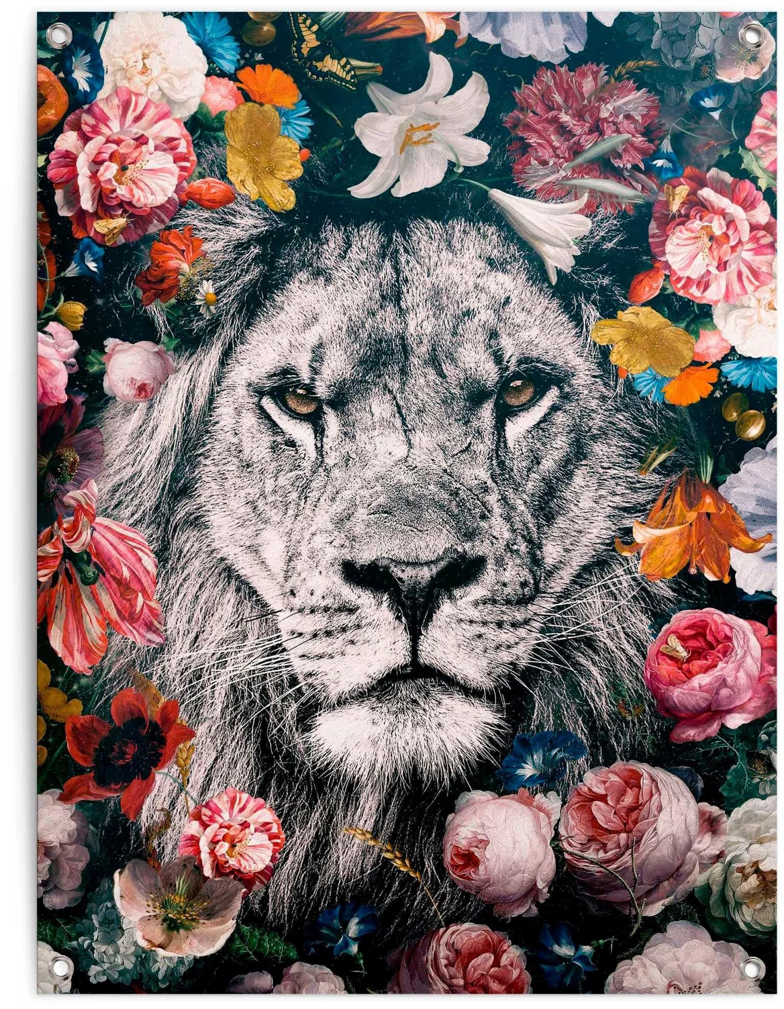 Poster REINDERS 'Löwe', bunt, 60x80cm, Leinwand
