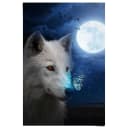 Maxi-Poster Weißer Wolf, Blau, 61x91,5 cm Bild 3