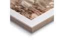 REINDERS Poster Ziergras Beige Wanddekoration Bild 3