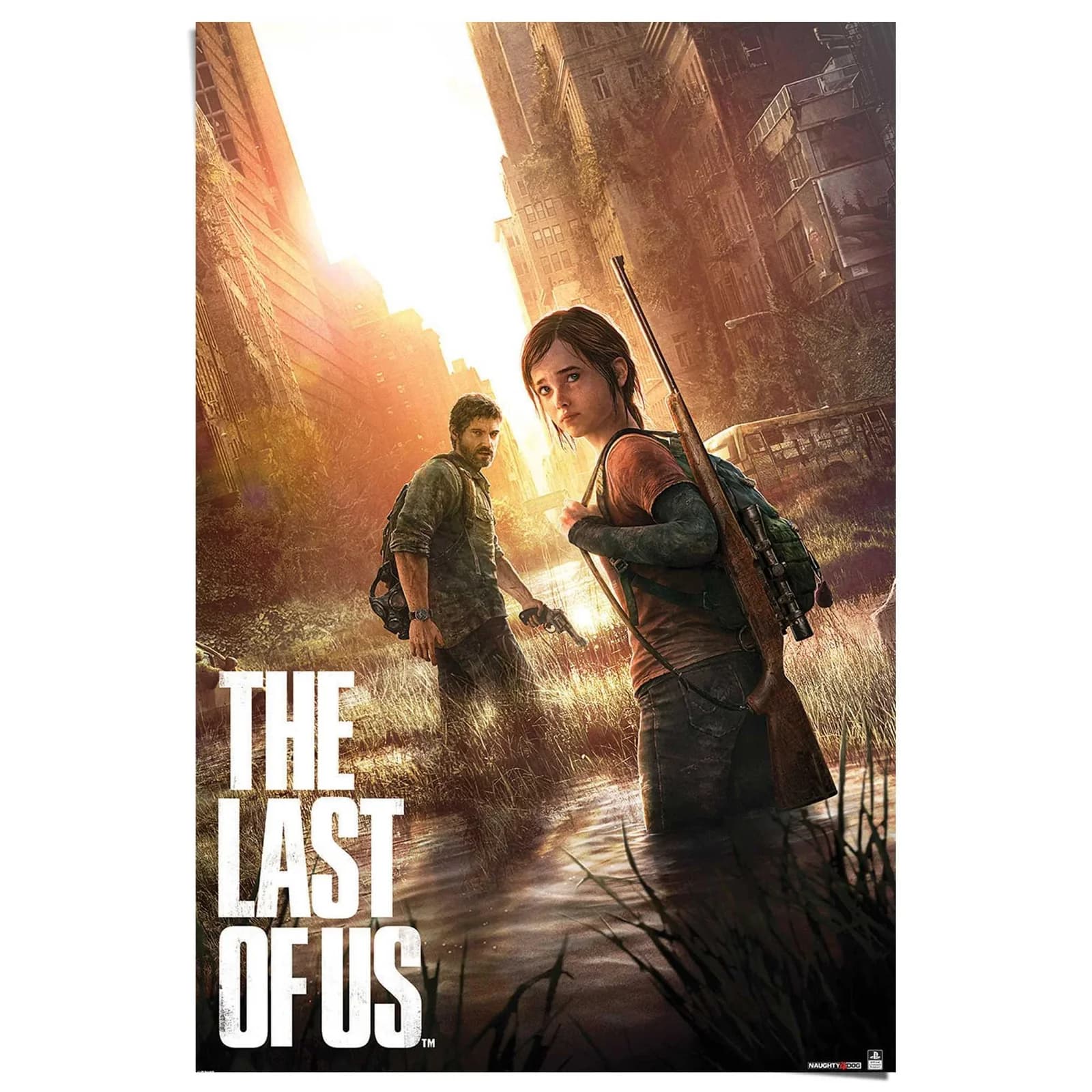 Poster Playstation - the last of us Braun - Bild 3