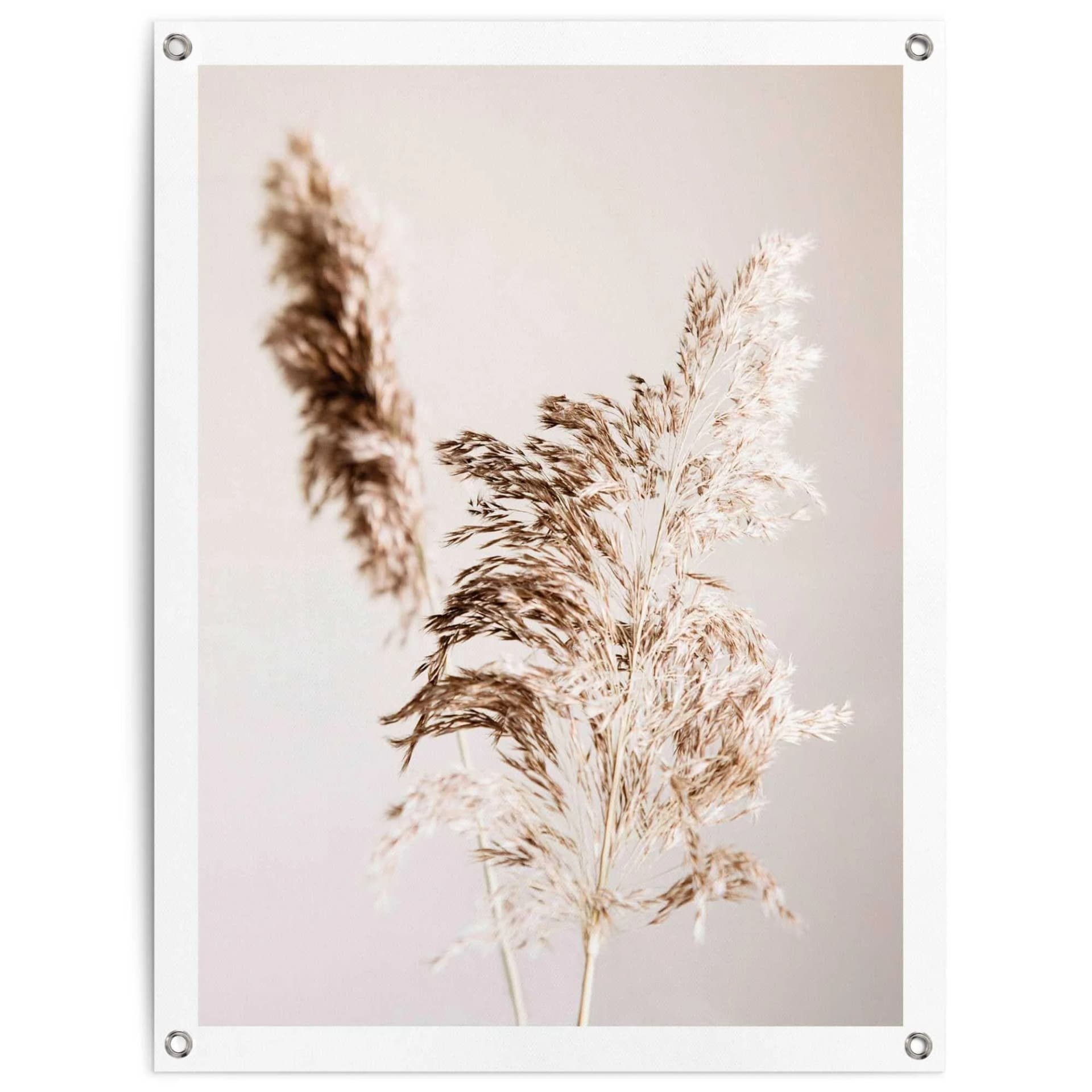 REINDERS Poster Pampasgras Beige Leinwand Outdoor