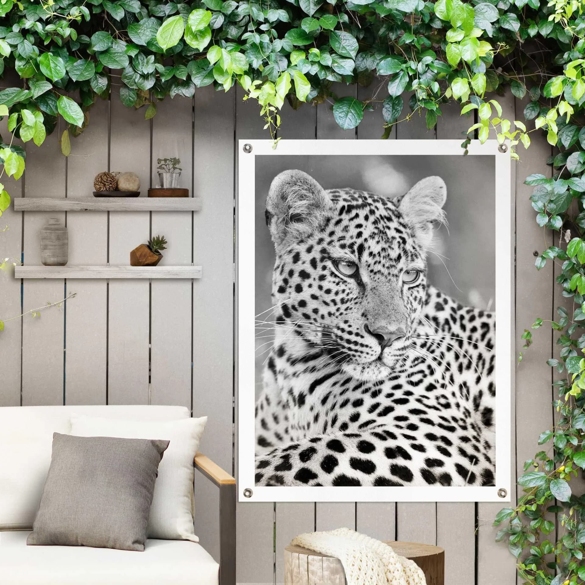 Poster REINDERS Leopard - Schwarz-Weiß Leinwand 60x80cm