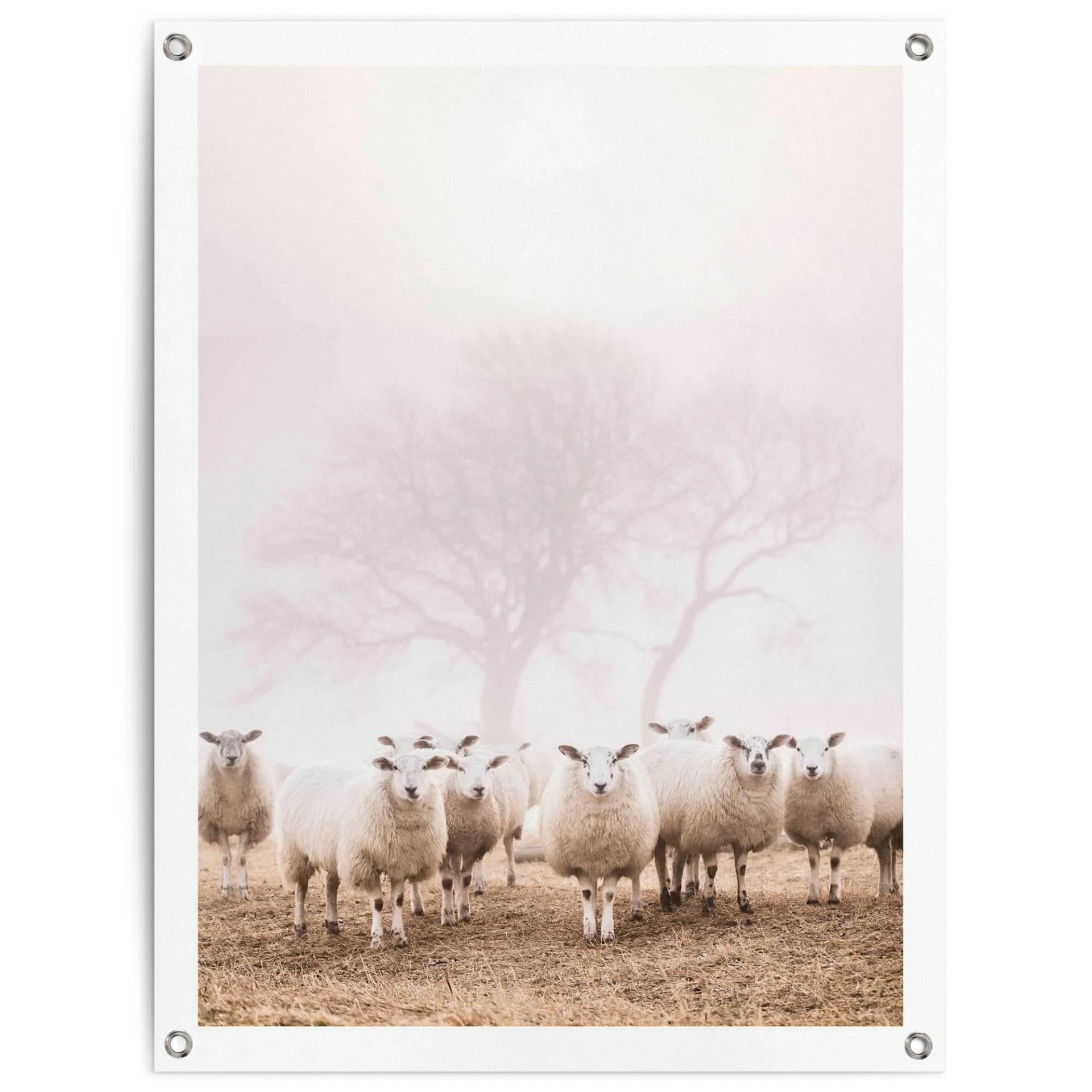 Poster REINDERS Schafe im Nebel, Beige, 60x80cm, Leinwand, Outdoor